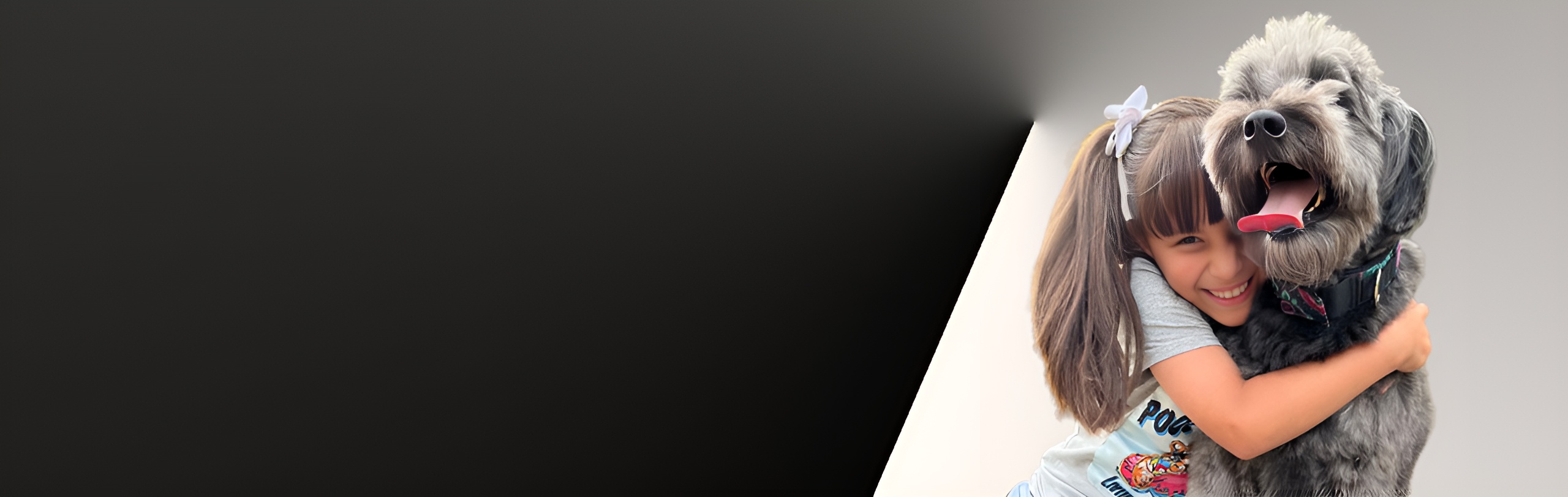 banner con mascota